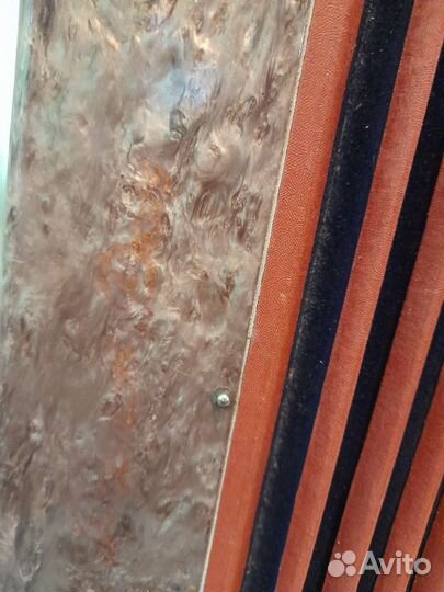 Баян,Ростов-Дон