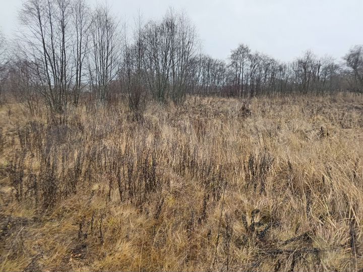 Участок 18 сот. (ИЖС)