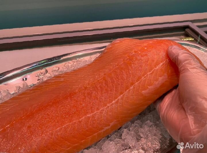 Лосось филе слабосолённый. Улов 2023
