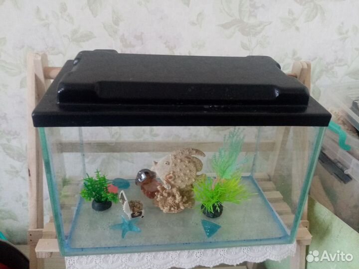 Аквариум 5л