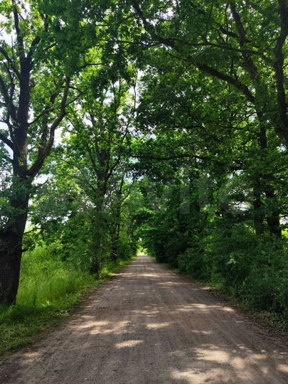 Участок 12 сот. (ИЖС)