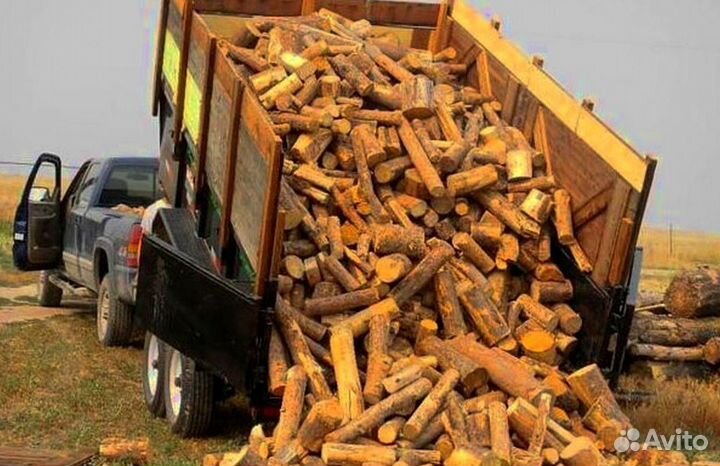 Дрова Береза