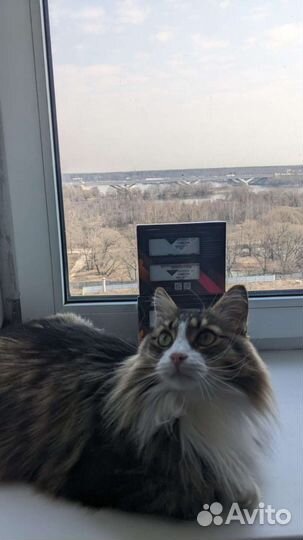 Оперативная память DDR4 32gb 3600Mhz