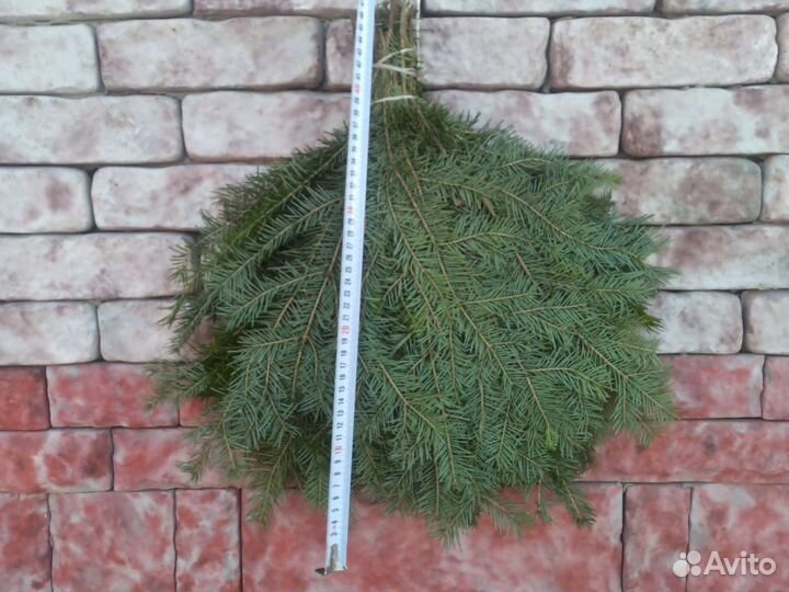 Пихтовые веники