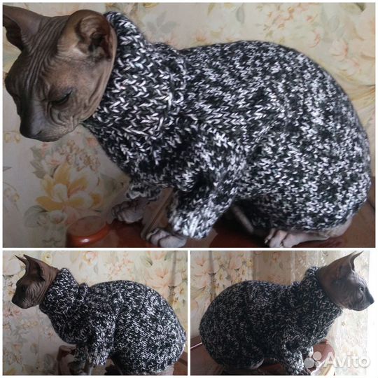 Одежда для сфинкса