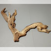 Коряга Bell Wood мангровая коряга 40*9*24 вк510, Зеленоград