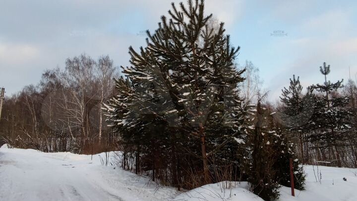 Дом 185 м² на участке 5 сот.