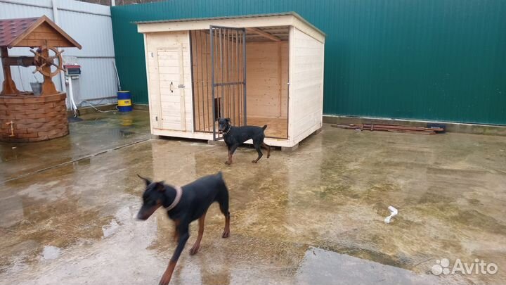 Вольер для собак уличный утепленный Н-76