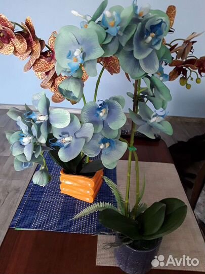 Орхидея (латекс)