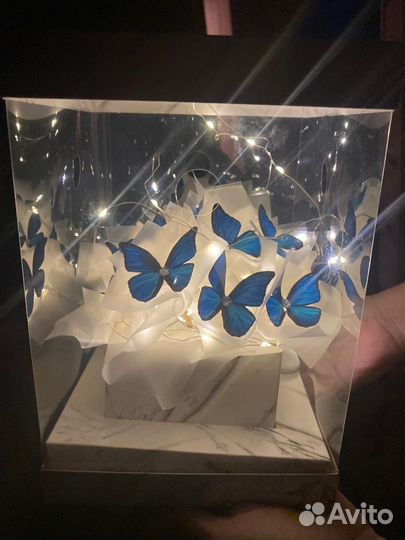 Аквариум с бабочками
