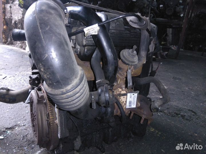 Honda Accord 1997г 2.0D двигатель мотор 80квт