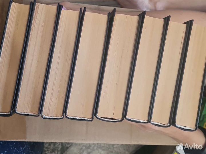 Анн и Серж Голон 