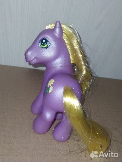 My little pony G3 Daisyjo