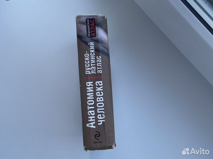 Анатомия человека русско-латинский атлас