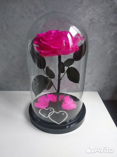 Роза в полбе от производителя