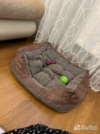 Лежанка для собак