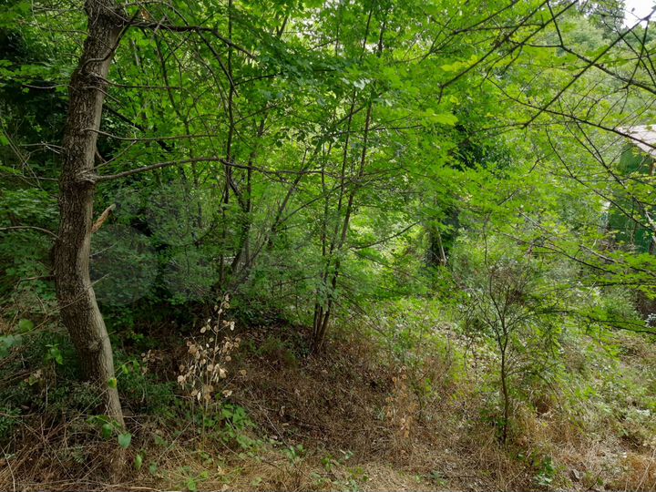 Участок 4 сот. (ИЖС)