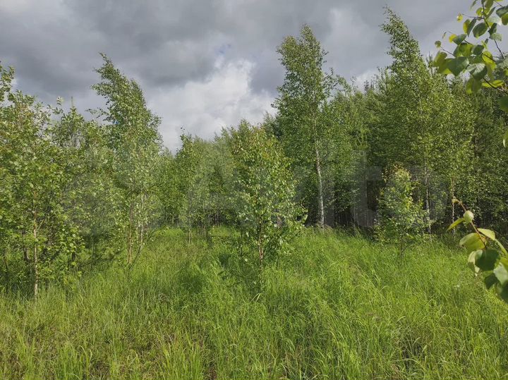 Участок 5 сот. (ИЖС)