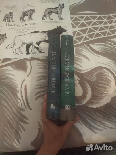 Фанфик bts Белоснежный дикарь с плакатом