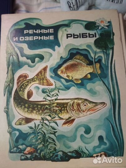 Коллекция спичечных коробков СССР