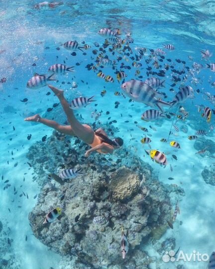 Горящие туры в Египет из Самары