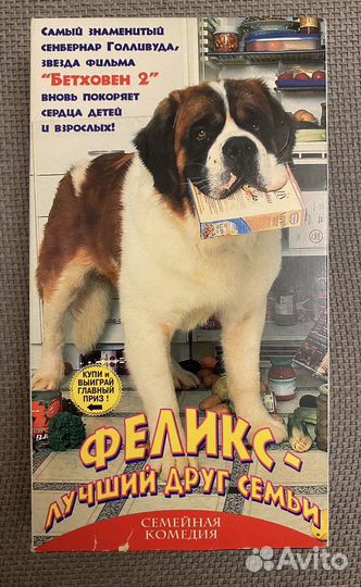 Феликс лучший друг семьи фильм