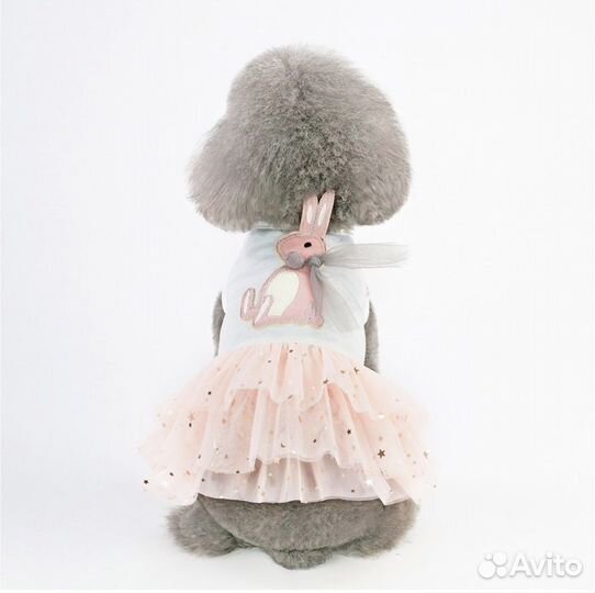 Платье для собак мелких пород