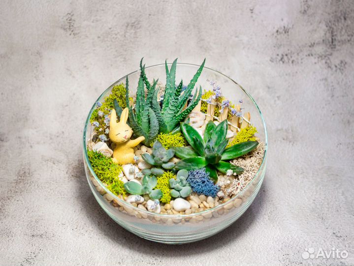 Флорариум зайка