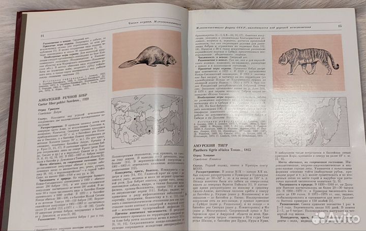 Красная книга СССР - официальный справочник