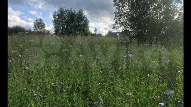 Участок 5,6 сот. (СНТ, ДНП)