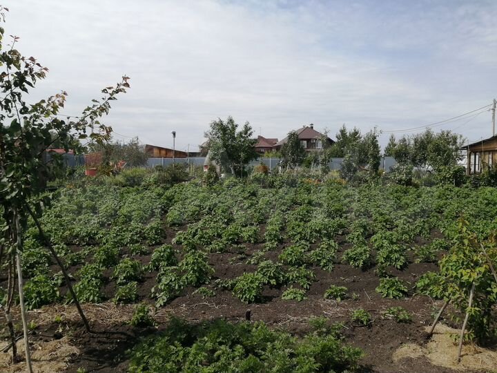 Дача 55 м² на участке 16 сот.