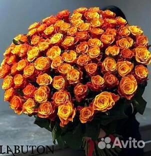 101 роза Цветы Букет