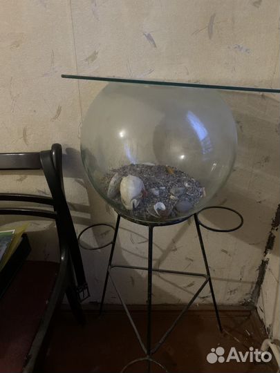 Аквариумные рыбки