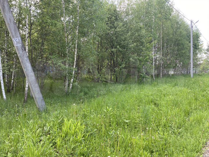 Участок 15 сот. (ИЖС)