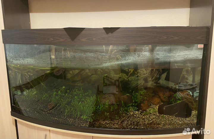 Аквариум на 500 литров