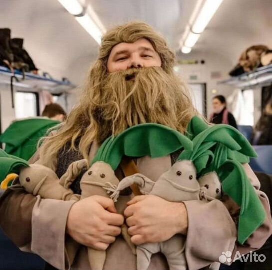 Поездка на Магическом поезде