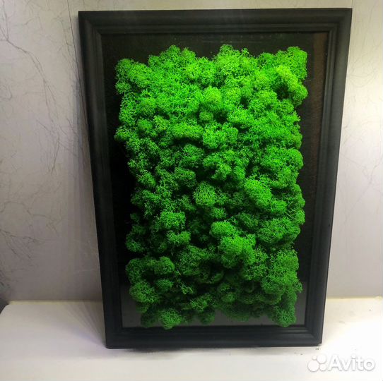 Картина из натурального стабилизированного мха