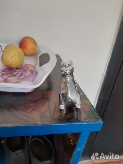 Олень на волгу 21