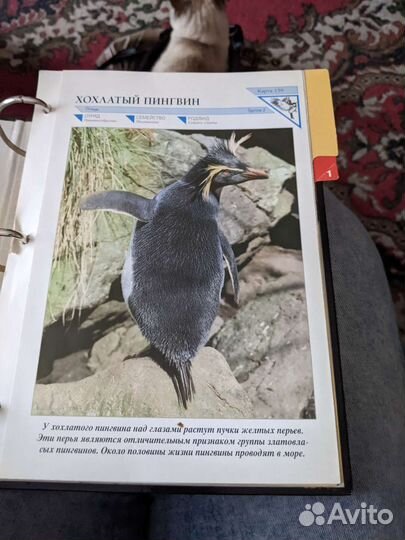 Книги, диски