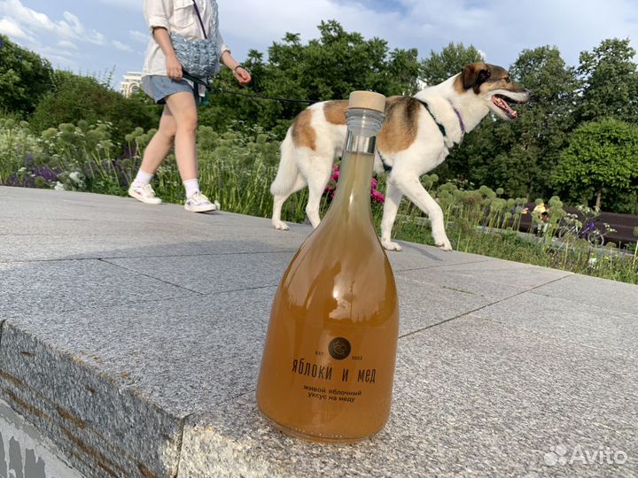 Живой Яблочный Уксус на меду 1 литр