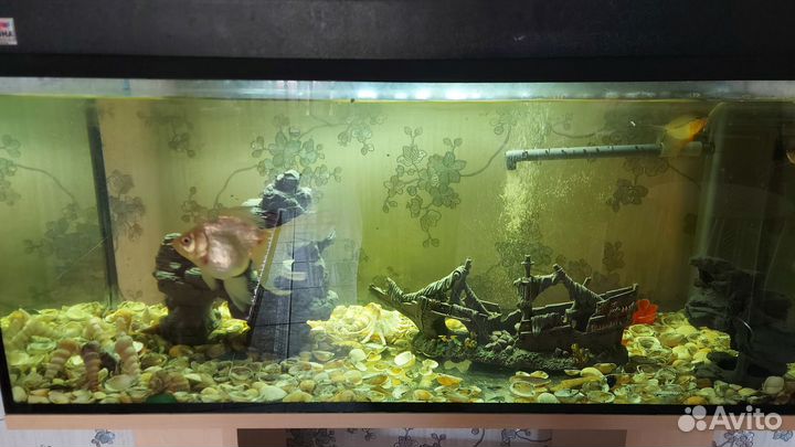 Аквариум с тумбой бу