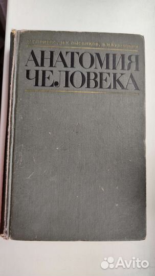 Анатомия человека