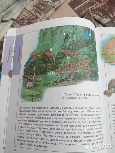 Атлас животные