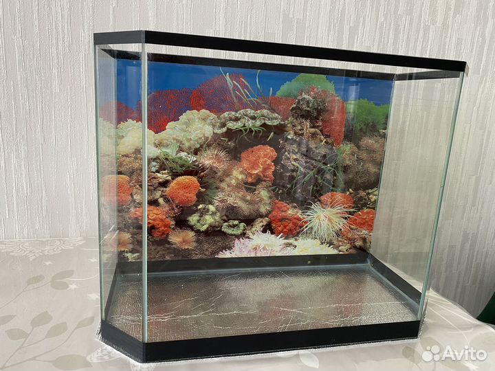 Аквариум