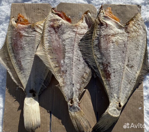 Ерш вяленный