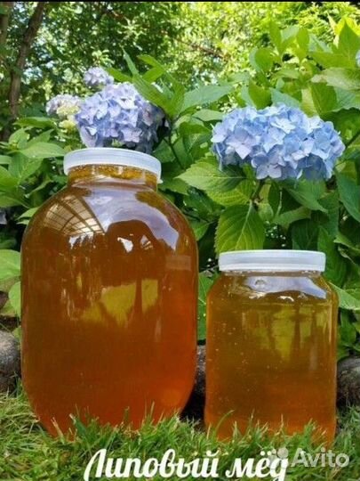 Чистейший Липовый мёд
