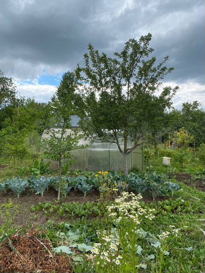 Дача 32,5 м² на участке 6,5 сот.