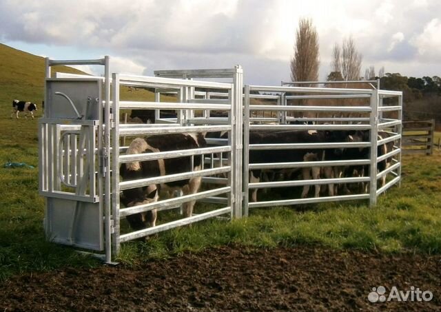 Загон для животных