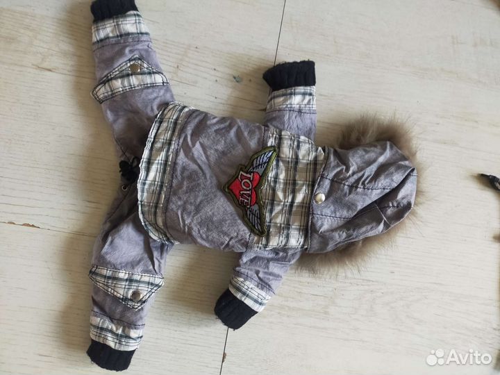 Одежда для собак мелких пород