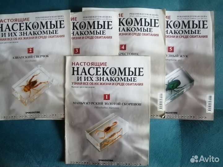 Журналы: Настоящие Насекомые и их знакомые